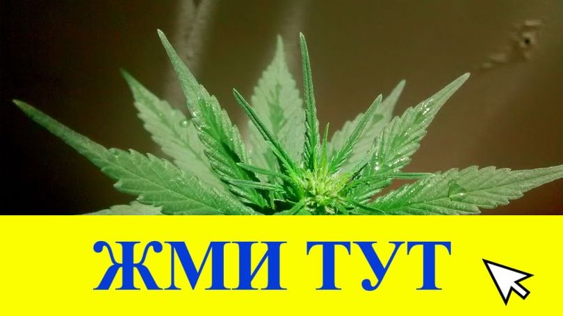 Купить наркотики в Томске